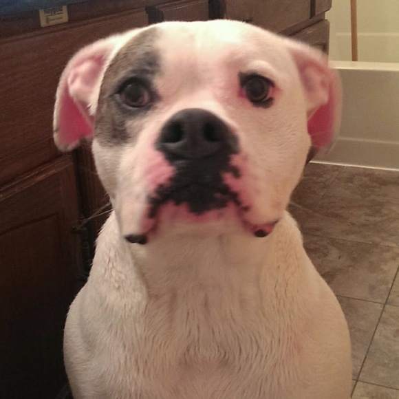 Meet your Posher, Mike - Picture 1 of 1